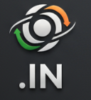 .in domain logo